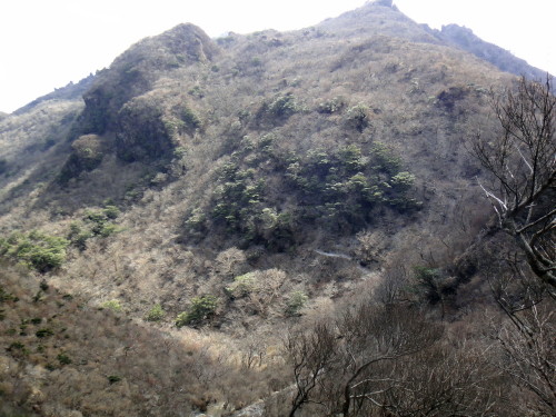 c0179351_9314267.jpg