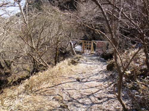 c0179351_9321899.jpg