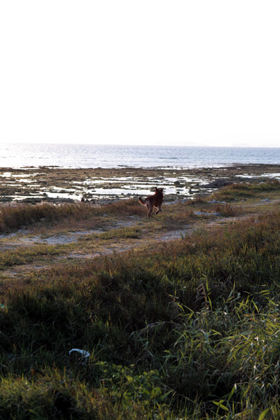 b0049152_20515373.jpg