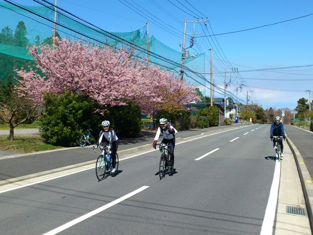 c0214259_001052.jpg