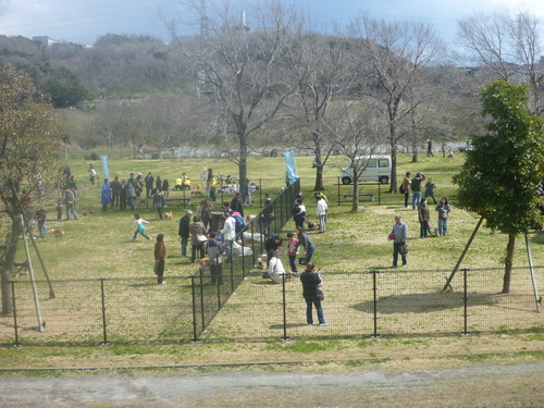a0104464_1233596.jpg