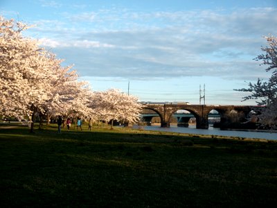 b0131774_12214587.jpg