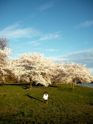 b0131774_1222553.jpg