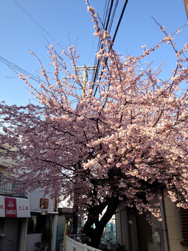 c0177576_172422.jpg