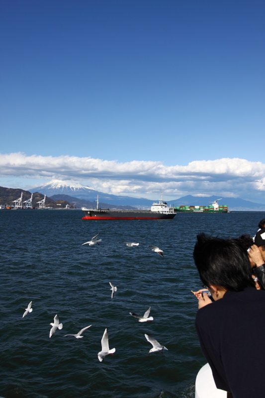 b0083779_0541410.jpg
