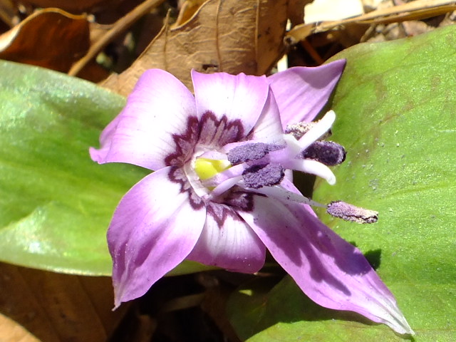 e0145782_21125580.jpg
