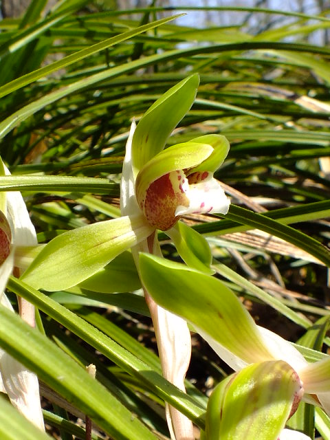 e0145782_21135288.jpg