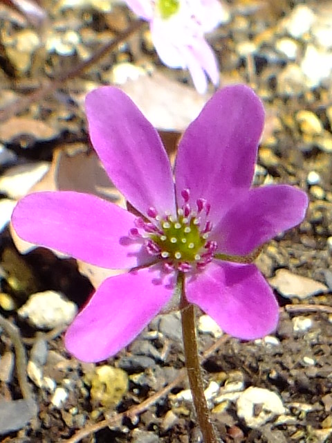 e0145782_21154491.jpg