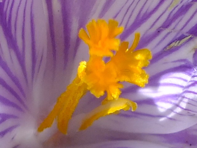 e0145782_21172383.jpg