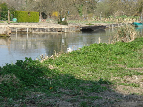 a0247585_824891.jpg