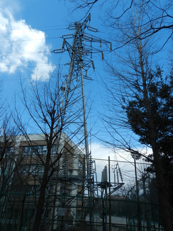 d0224990_1032897.jpg