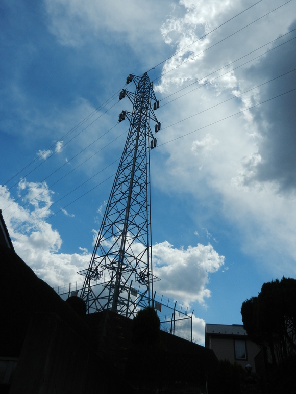 d0224990_103684.jpg