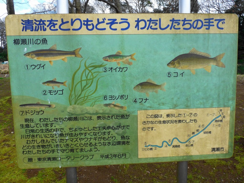 e0202393_11545452.jpg