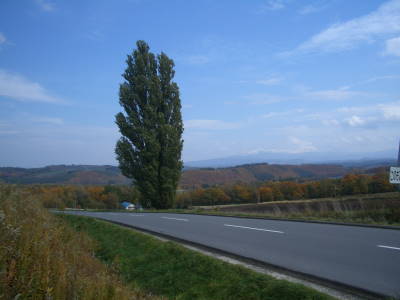 a0236996_15465961.jpg