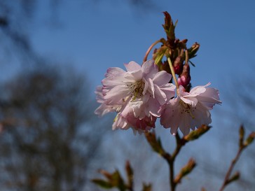 b0110999_5234152.jpg
