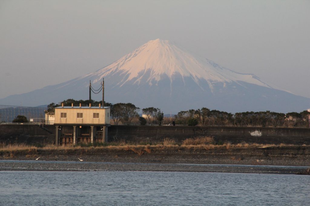 a0188405_654819.jpg