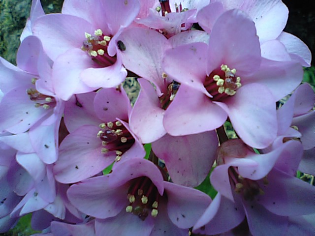 f0231709_2037335.jpg