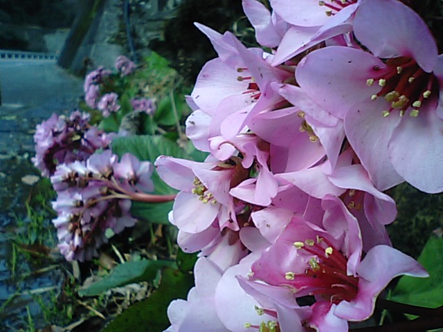 f0231709_2037628.jpg