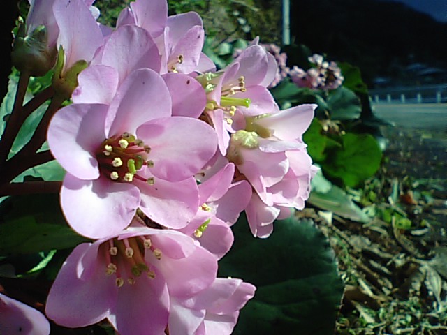 f0231709_20383095.jpg