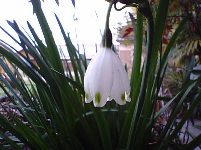 f0231709_20403031.jpg