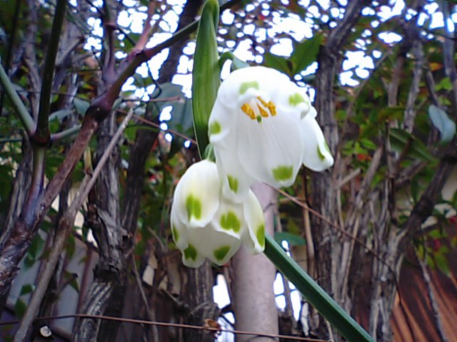 f0231709_2041222.jpg