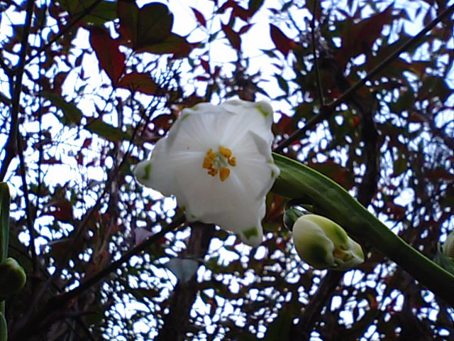 f0231709_20421174.jpg