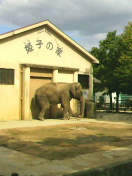 a0251413_7583036.jpg