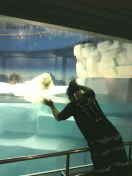 a0251413_7583070.jpg