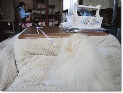 b0167519_1454421.gif