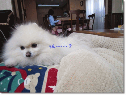 b0167519_14572451.gif