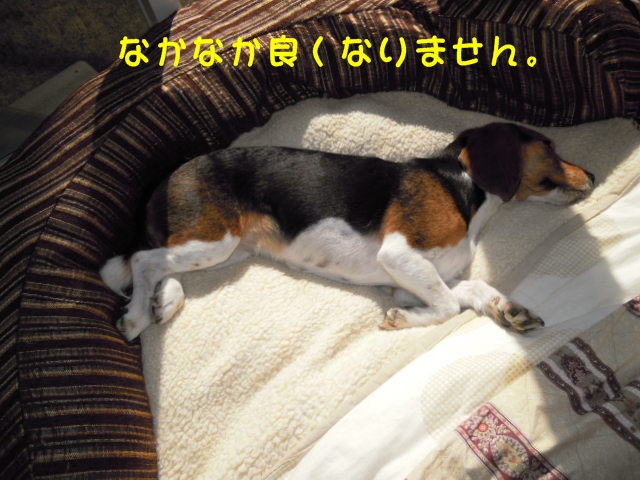 c0166622_10395234.jpg