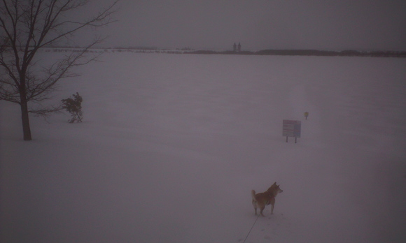 e0227023_23265366.jpg