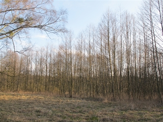 f0224632_19185091.jpg