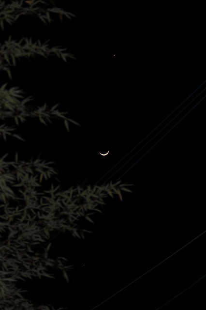 b0184636_1042584.jpg
