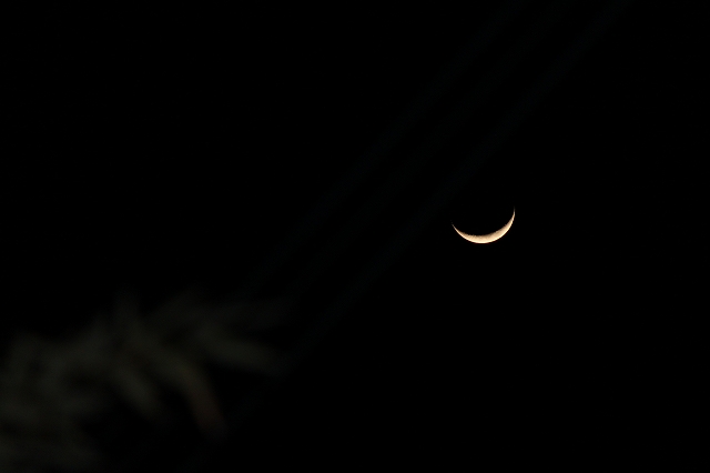 b0184636_1045424.jpg