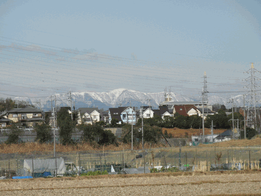 c0136736_2164625.gif