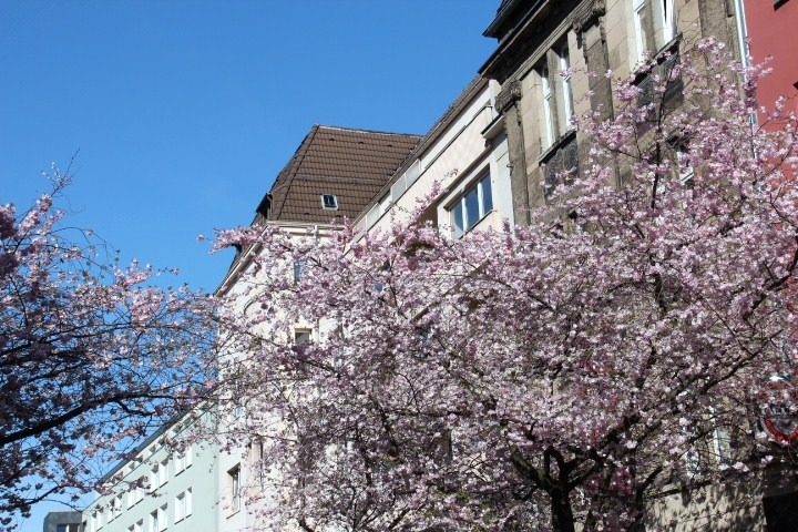 c0153740_5293575.jpg