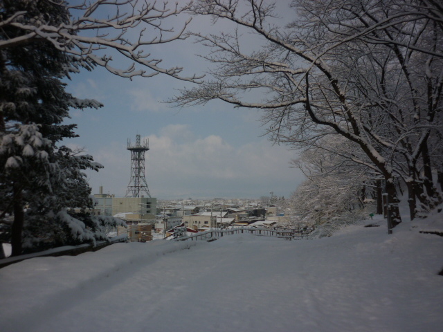e0131541_2203231.jpg