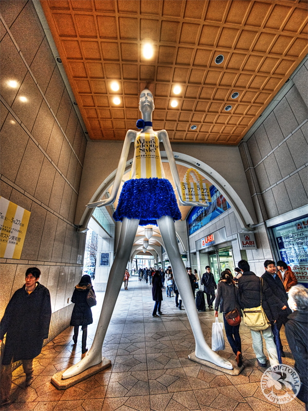 b0135347_2349212.jpg