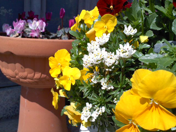a0150850_16535410.jpg