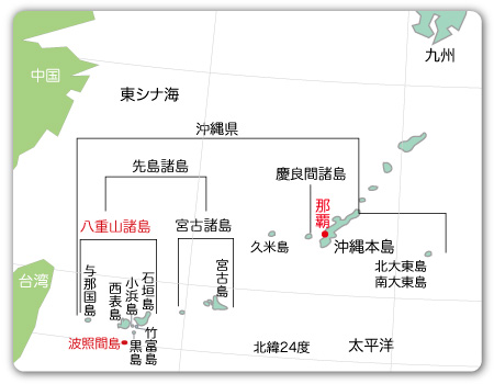 d0031853_1714596.jpg