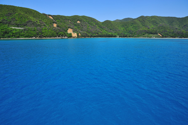 b0062363_20314462.jpg