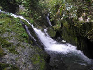 d0134473_13374292.jpg