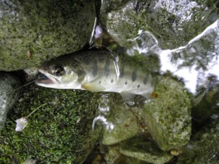 d0134473_14114081.jpg