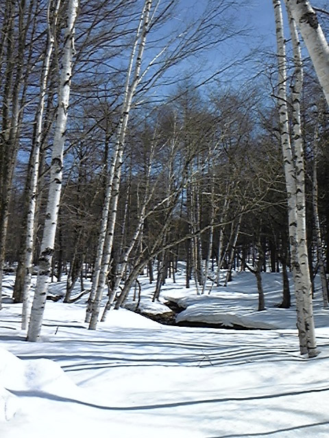 e0118274_7454857.jpg
