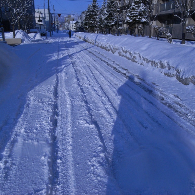 c0183777_10241419.jpg