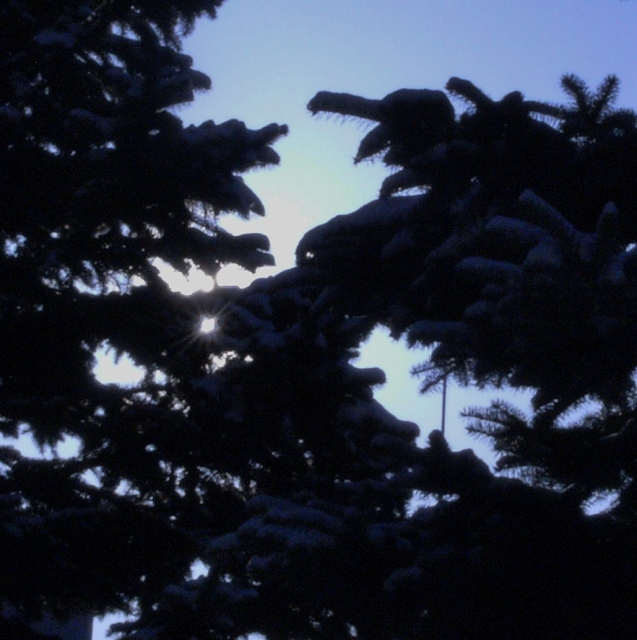 c0183777_10242342.jpg