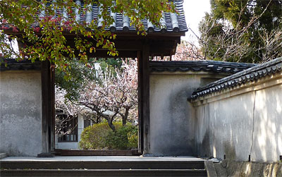 c0152779_2525635.jpg