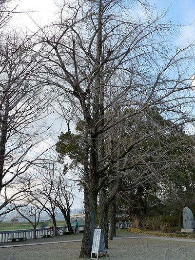 c0152779_321427.jpg