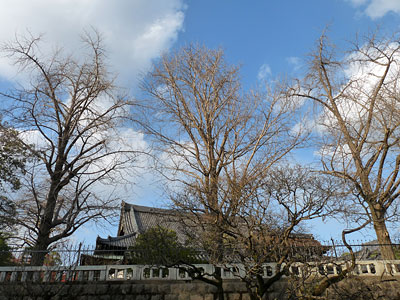 c0152779_322891.jpg
